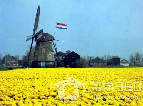 20110520165846797.jpg