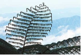 马来西亚教育联盟带您全方位了解马来西亚 马来西亚教育联盟带您全方位了解马来西亚
