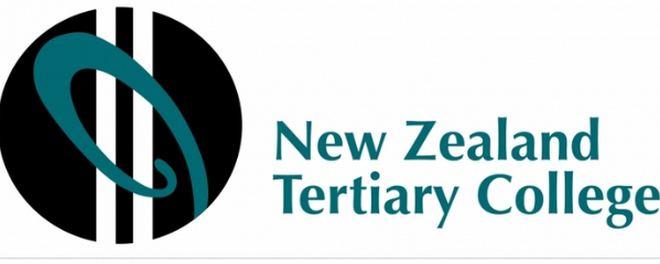 新西兰留学高等教育学院----nztc幼教专业介绍图片