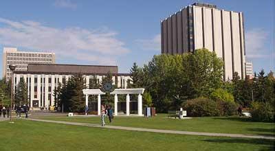 卡尔加里大学