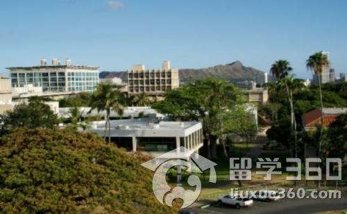夏威夷大学排名_夏威夷果(2)