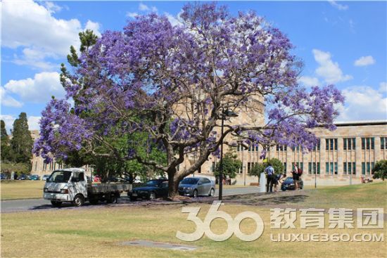 昆士兰大学世界排名 - 院校关键词 - -留学360