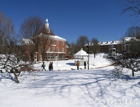 西新英格兰大学奖学金