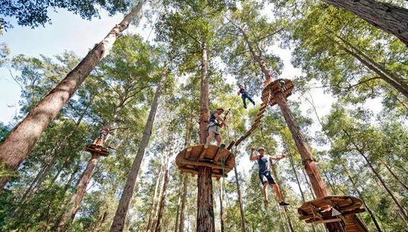 treetop adventure park