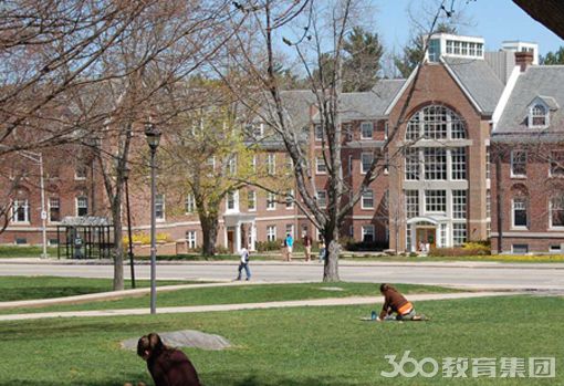 新罕布什尔大学学校排名 - 教育咨询 - 留学360