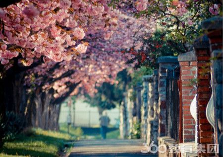 忠北国立大学入学条件 - 忠北国立大学 - Unive