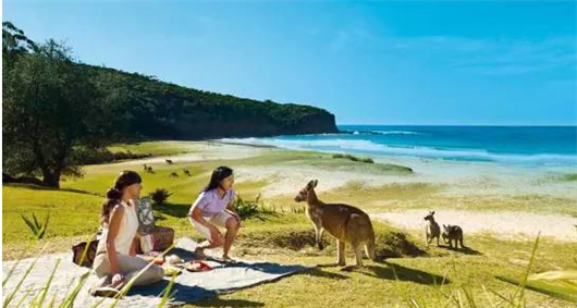 澳大利亚留学生外出旅游注意事项 - 国外旅游 