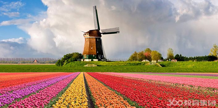 荷兰留学预科要求 - 留学360专题热搜