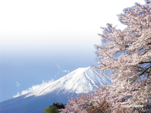 日本留学花多少? 据留学360了解,日本各个地区租赁房屋的价格各有不同,但是总体差别不大。东京、大阪等大城市价格高一些,一些中小城市则相对比较便宜。目前,留学生在日本的租房大致有以下六种方式,价格也不经相同。
