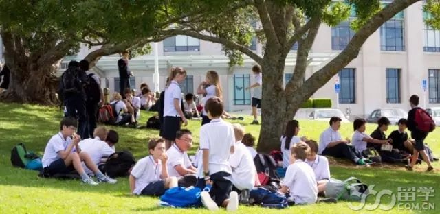 ACGζУ԰ƯĹ԰Auckland Domain԰