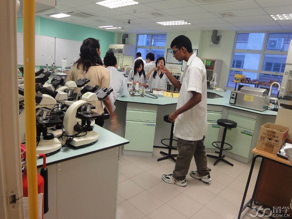 inti英迪大学官网简述