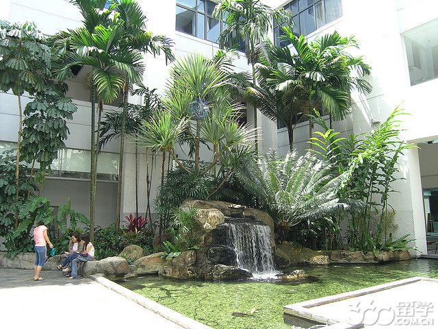 新加坡管理学院合作大学