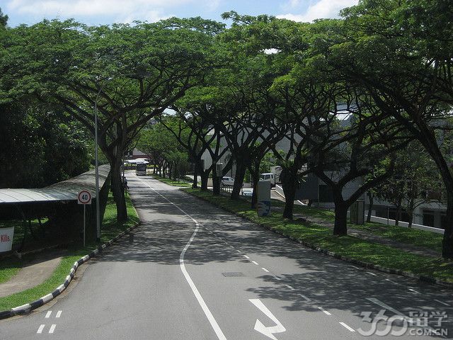 新加坡南洋理工大学师资力量