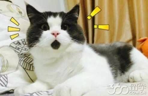 ߵĴѧڴѧ