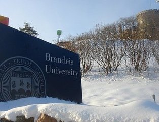 美国布兰迪斯大学就读费用须知 - 院校新闻 - 留