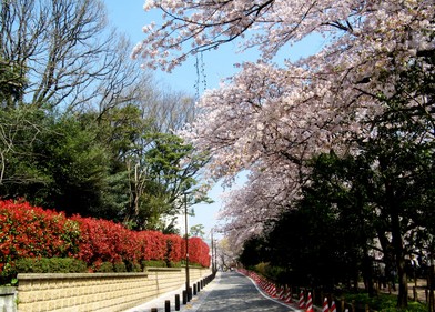 高考生留学日本 高考日本留学