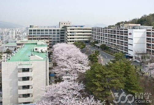 韩国东义大学的上海校区如何