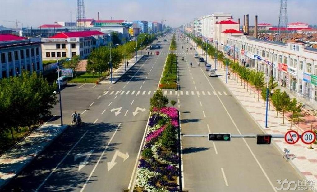 新青区隶属黑龙江省伊春市,位于伊春北部红松故乡小兴安岭腹地。地理坐标为东经12920至13023,北纬4755至4840之间。东邻嘉荫县和鹤岗市,西与红星区接壤,南与美溪毗邻,北同汤旺河区连接。总面积1048.72平方千米。2014年新青区人口总数为4.7万人。截至2015年,辖2个街道,14个林场。 2015年全年地区生产总值完成6.