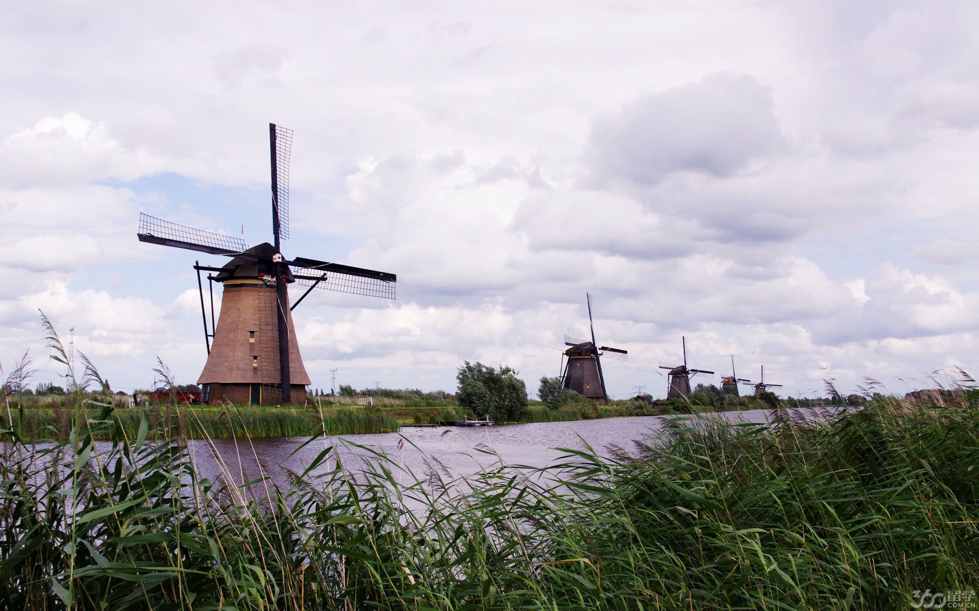 荷兰专升本留学的优势 - 留学360专题热搜