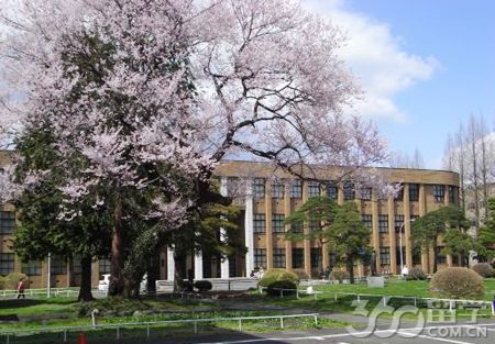 日本关东大学