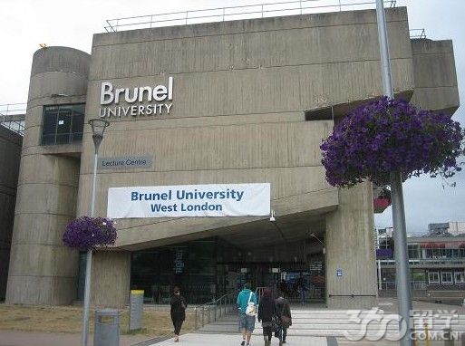 布鲁内尔大学与雷丁大学哪个好