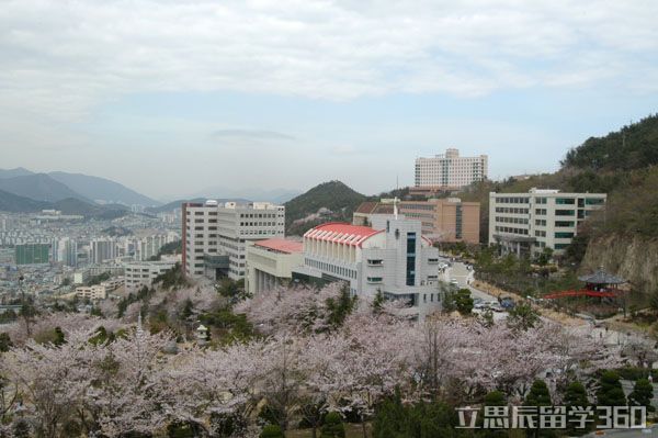 2017韩国东义大学留学生担保人条件
