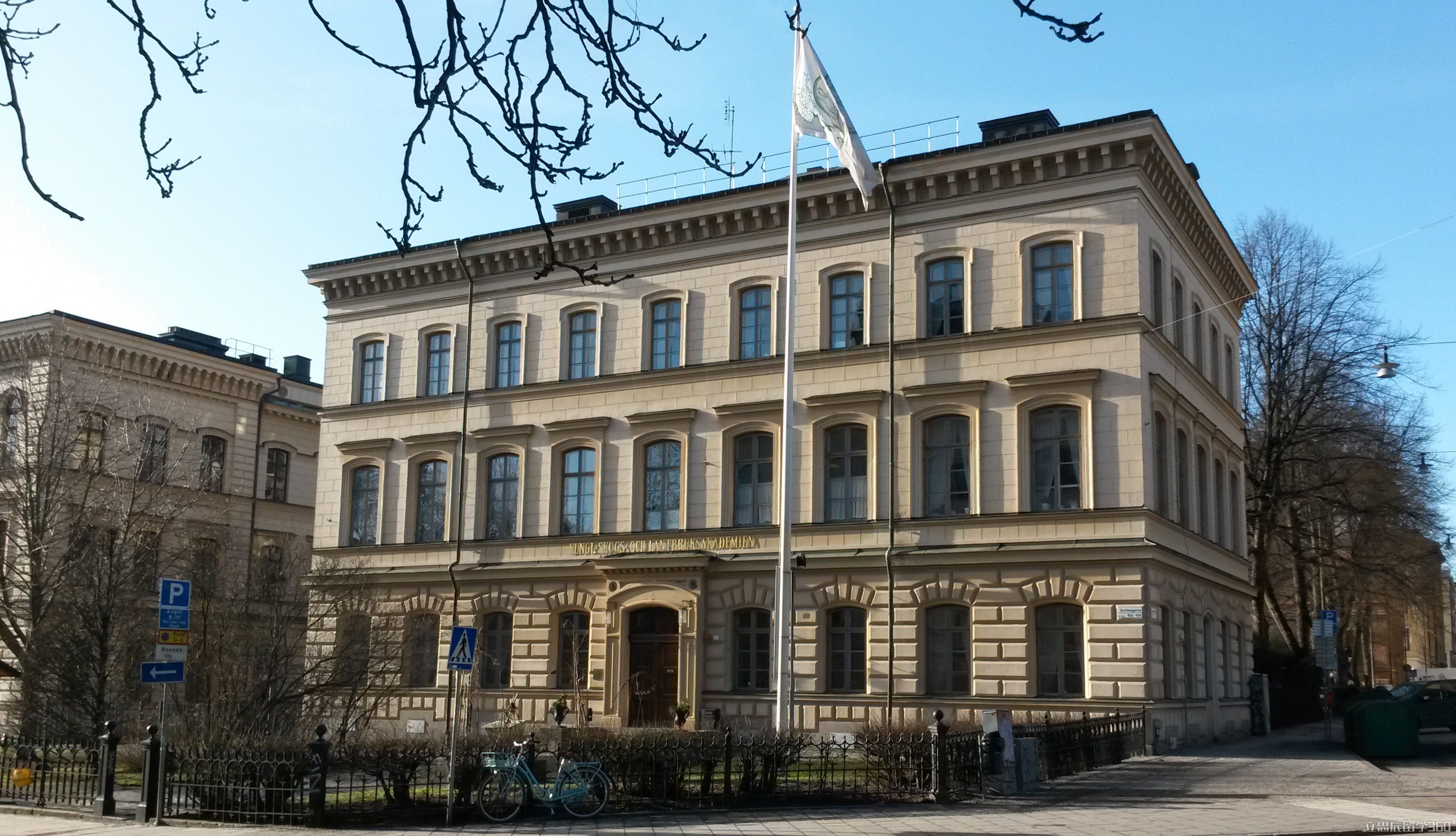 瑞典皇家美术学院是野鸡大学吗
