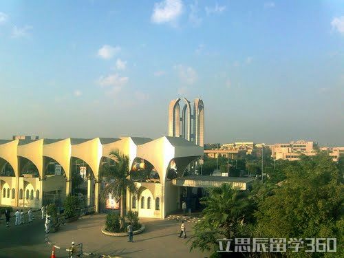 埃及阿勒旺大学专业一览 阿勒旺大学