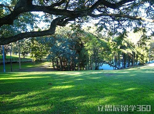 澳洲昆士兰大学应用心理学硕士申请要求是什么