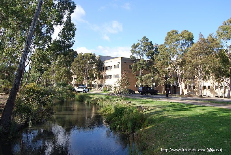 拉筹伯大学澳洲排名。