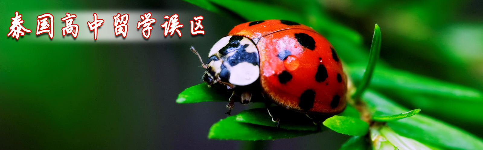 ̩ѧ