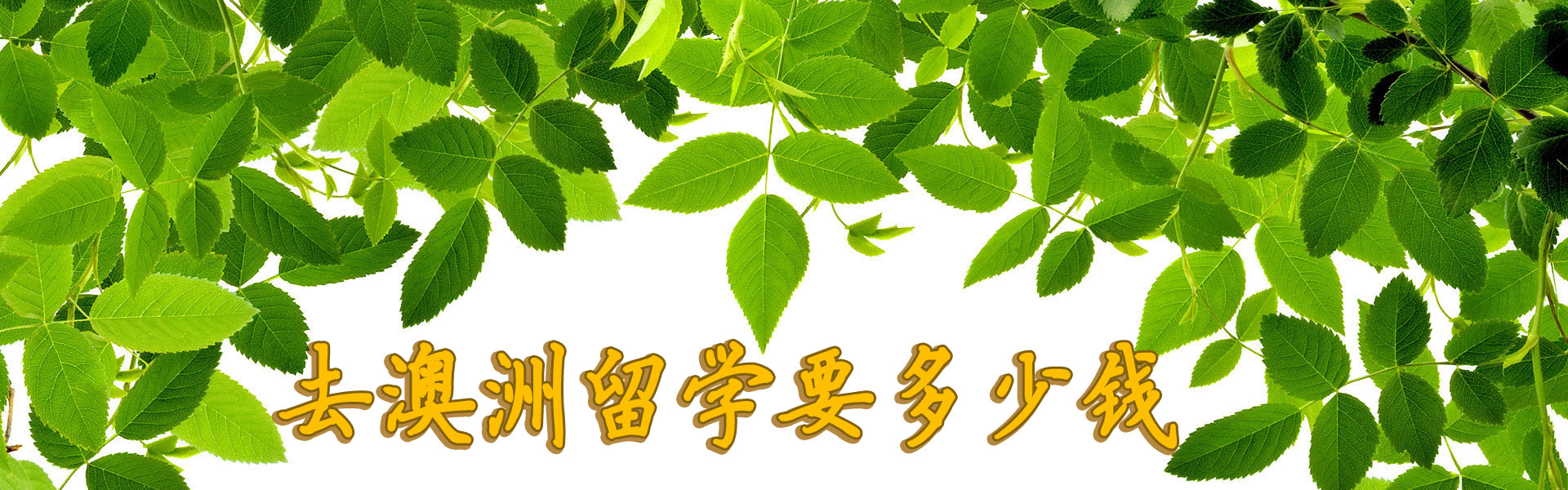 ȥѧҪǮ