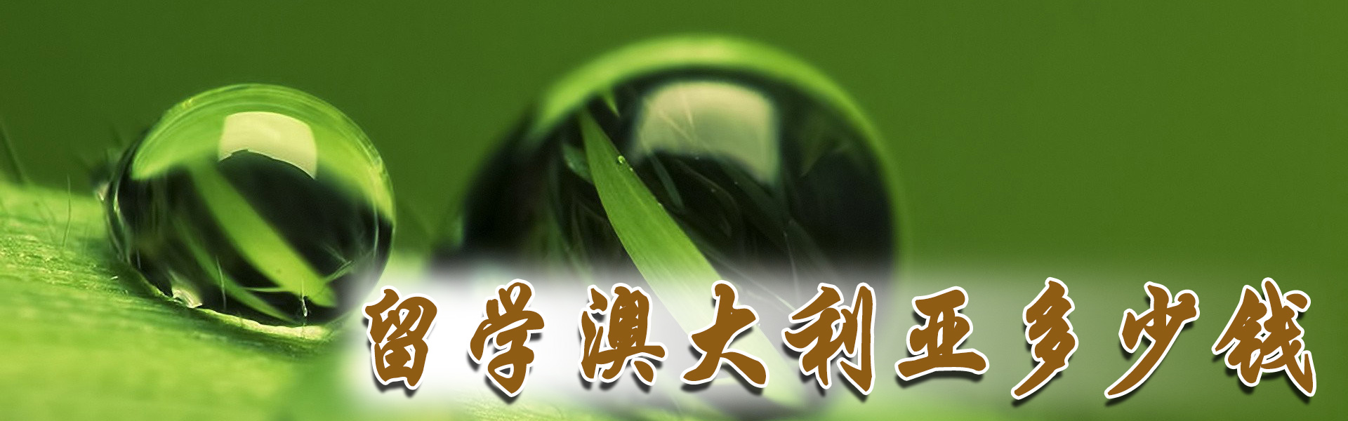 ѧĴǶǮ