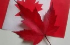 ôԹ
