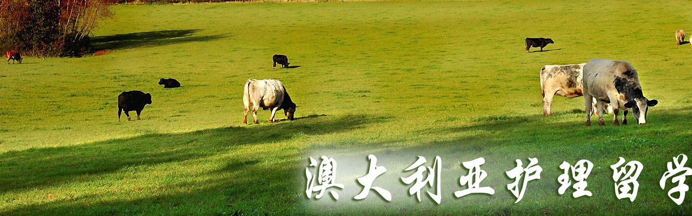 Ĵǻѧ