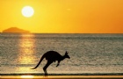 Ĵʲô
