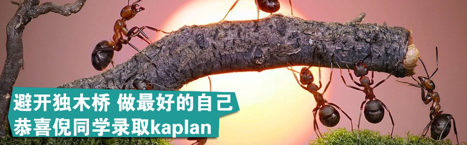 ܿľ õԼ ϲͬѧ¼ȡkaplan