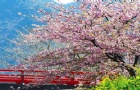 ձѧҪǮ