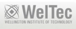 惠灵顿理工学院|Wellington Institute of Technology