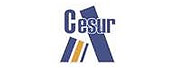 CESUR高等职业教育学院